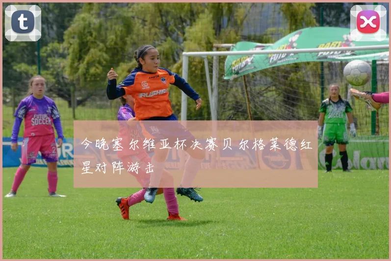 今晚塞尔维亚杯决赛贝尔格莱德红星对阵游击
